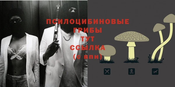 ПСИЛОЦИБИНОВЫЕ ГРИБЫ Абаза