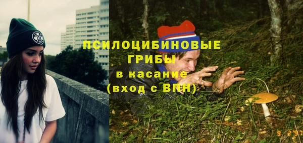 ГАЛЛЮЦИНОГЕННЫЕ ГРИБЫ Абдулино
