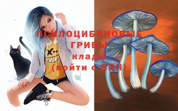 spice Абинск