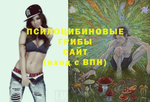 ПСИЛОЦИБИНОВЫЕ ГРИБЫ Абаза
