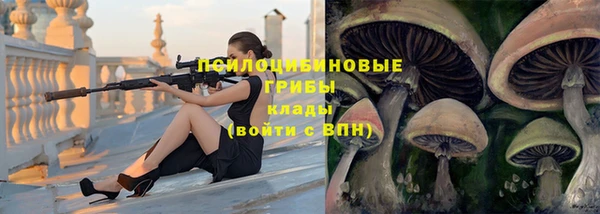 a pvp Алексеевка