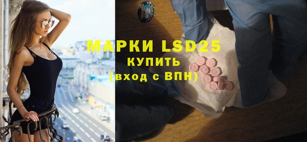 ПСИЛОЦИБИНОВЫЕ ГРИБЫ Абаза