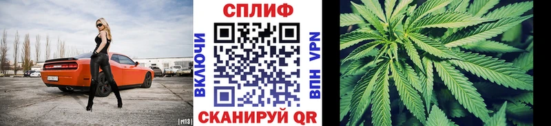 Шишки марихуана планчик  KRAKEN маркетплейс  Зерноград 